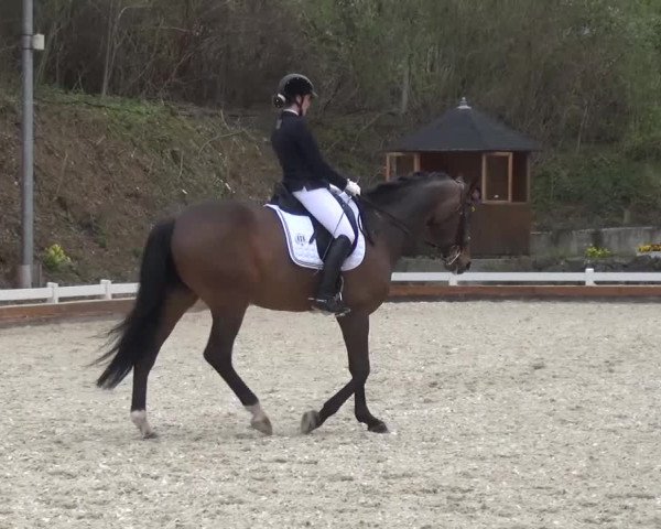 Frühjahrsturnier Mettmann - Reitanlage Löckenhoff 2016