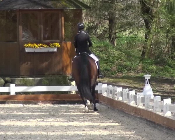 Frühjahrsturnier Mettmann - Reitanlage Löckenhoff 2016