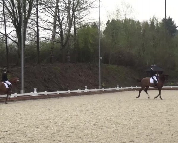 Frühjahrsturnier Mettmann - Reitanlage Löckenhoff 2016