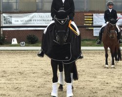 dressage horse Hofmann (Hanoverian, 2005, from Hochadel)