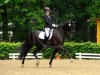 dressage horse Lamborghini (Rhinelander, 2010, from Lord Loxley I)