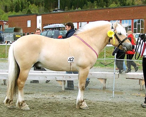 Deckhengst Rånnson (Fjordpferd, 2002, von Rånn N.2659)