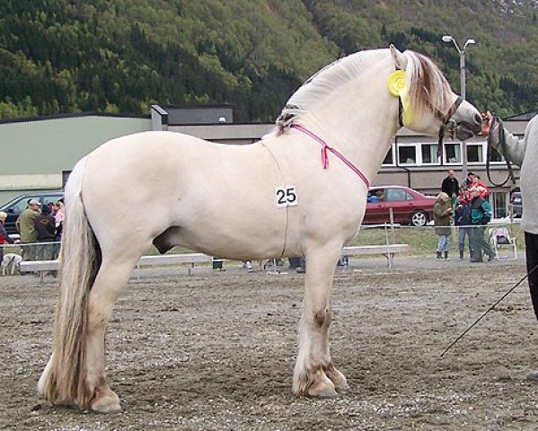 stallion Hjellar (Fjord Horse, 2002, from Herman N.2707)