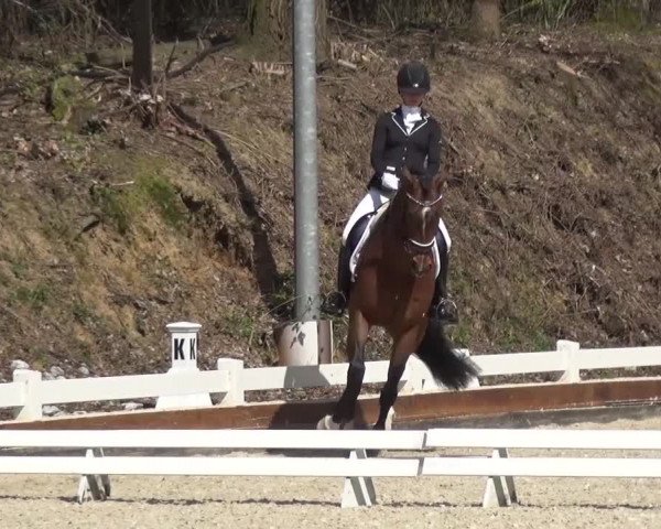 Frühjahrsturnier Mettmann - Reitanlage Löckenhoff 2016