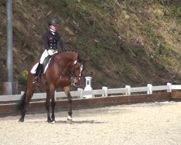 Frühjahrsturnier Mettmann - Reitanlage Löckenhoff 2016