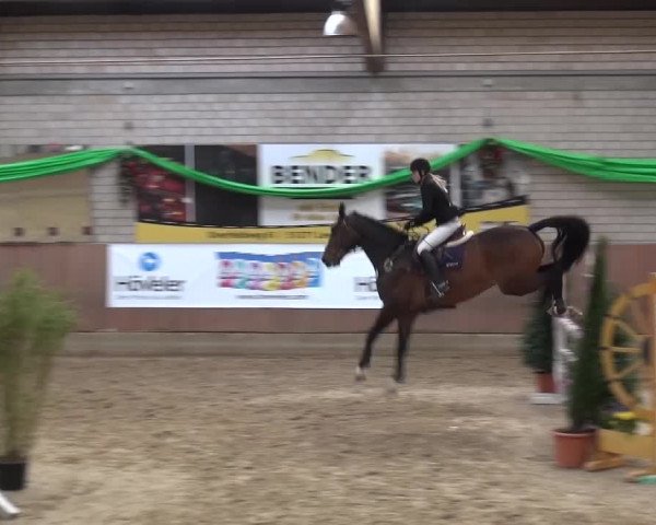Reitturnier Leverkusen-Rheindorf 2016