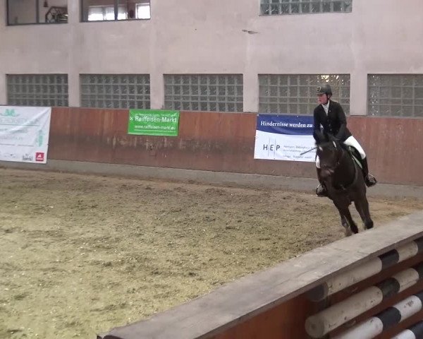 Reitturnier Leverkusen-Rheindorf 2016