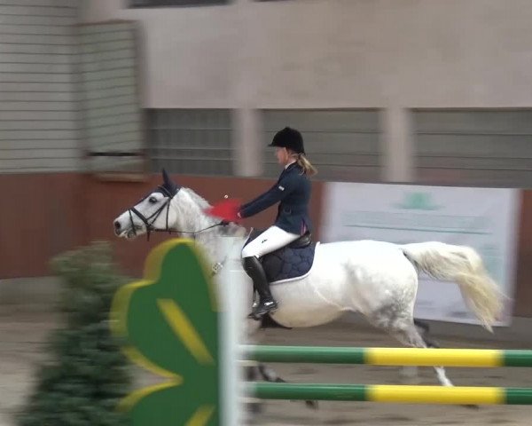 Reitturnier Leverkusen-Rheindorf 2016