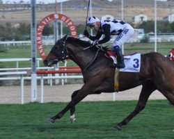 stallion Es Es Runner (Thoroughbred, 2011, from Cuvee)