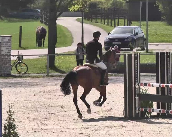 Frühjahrs-Reitturnier Ingolstadt-Hagau 2016