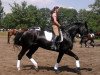 broodmare Enya 33 (Westphalian, 2005, from Ehrenpreis)