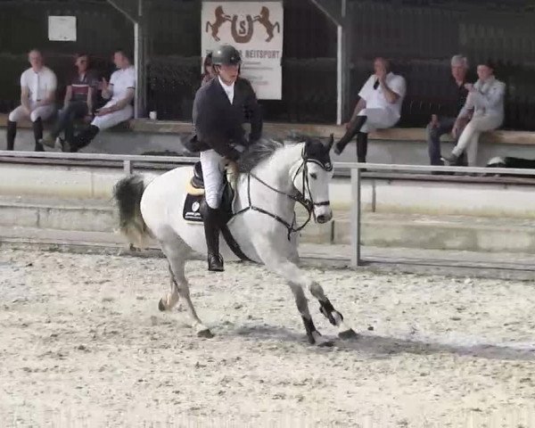 Frühjahrs-Reitturnier Ingolstadt-Hagau 2016