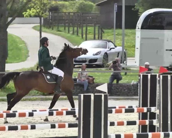Frühjahrs-Reitturnier Ingolstadt-Hagau 2016