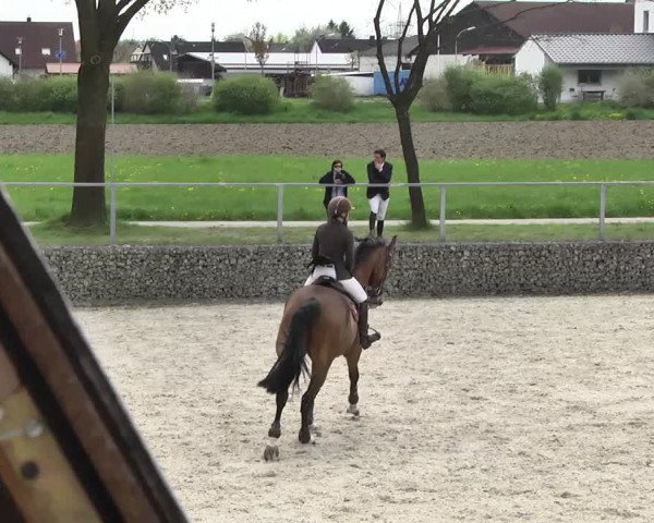 Frühjahrs-Reitturnier Ingolstadt-Hagau 2016