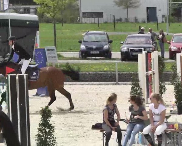 Frühjahrs-Reitturnier Ingolstadt-Hagau 2016