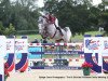 jumper Billy Colman (anglo european sporthorse, 2011, from Cevin Z)