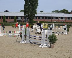 jumper Sunrise (German Riding Pony, 2010, from Bandit)