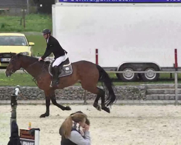 Frühjahrs-Reitturnier Ingolstadt-Hagau 2016