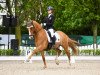 dressage horse Delray 3 (German Riding Pony, 2011, from FS Don't Worry)