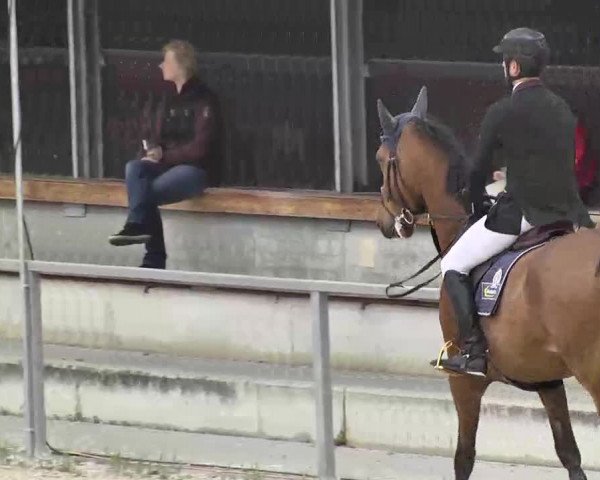Frühjahrs-Reitturnier Ingolstadt-Hagau 2016