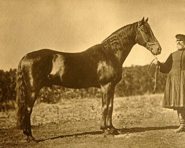 Deckhengst KOCHET (RU) (Orlow-Traber, 1864, von PETUSHOK (RU))