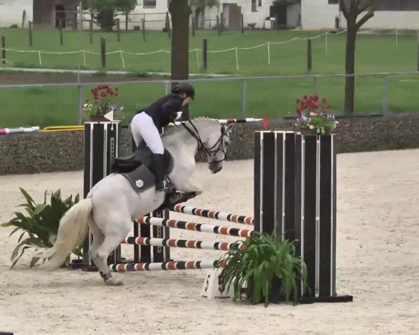 Frühjahrs-Reitturnier Ingolstadt-Hagau 2016