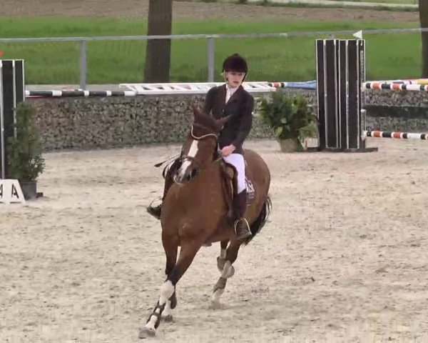Frühjahrs-Reitturnier Ingolstadt-Hagau 2016