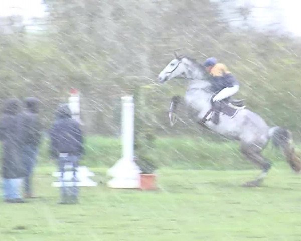 Reitturnier Heide-Hochfeld 2016