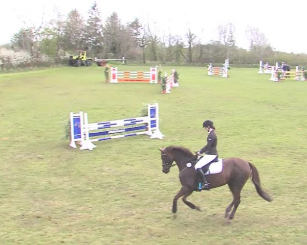 Reitturnier Heide-Hochfeld 2016
