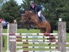 jumper Calador 9 (German Sport Horse, 2011, from Chap 47)