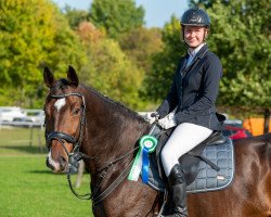 jumper Eos 13 (Trakehner, 2012, from Czarczaf)