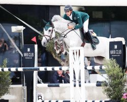 jumper Cantate Z (Zangersheide riding horse, 2011, from Carosso VDL)