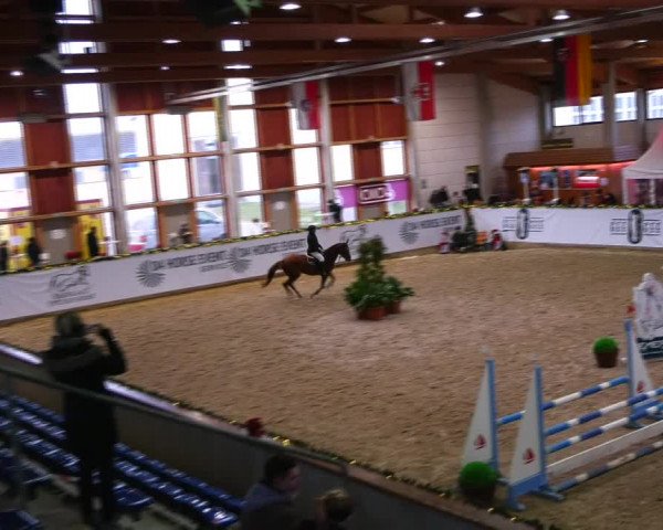 Christmas Jumping Trophy Prussendorf 2021