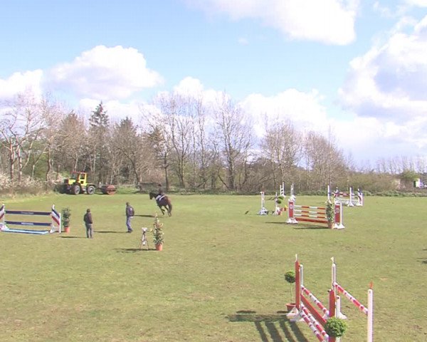 Reitturnier Heide-Hochfeld 2016