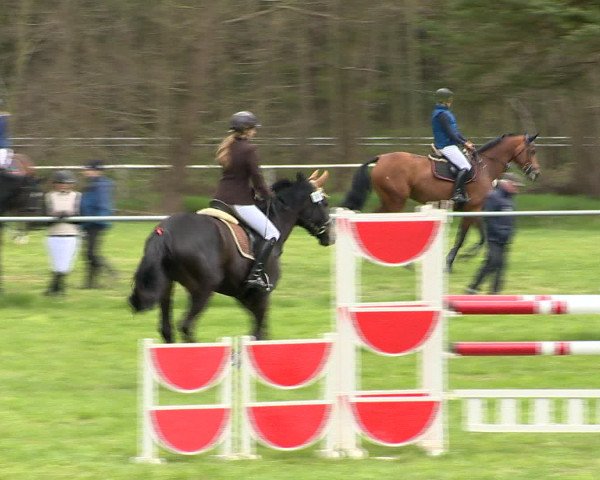 Springturnier Wildeshausen 2016