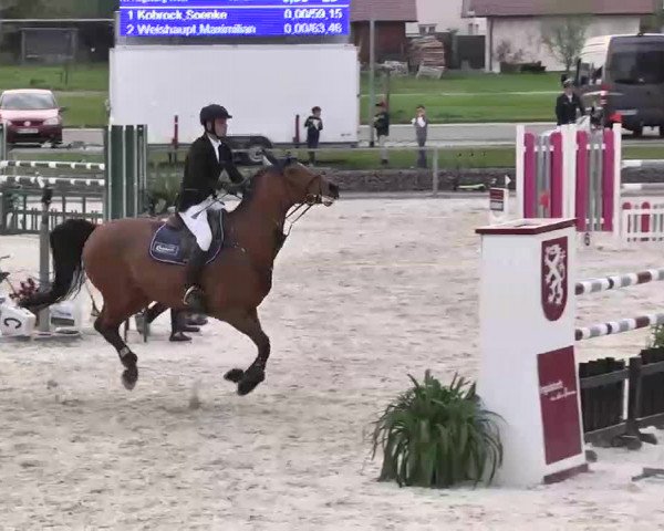 Frühjahrs-Reitturnier Ingolstadt-Hagau 2016