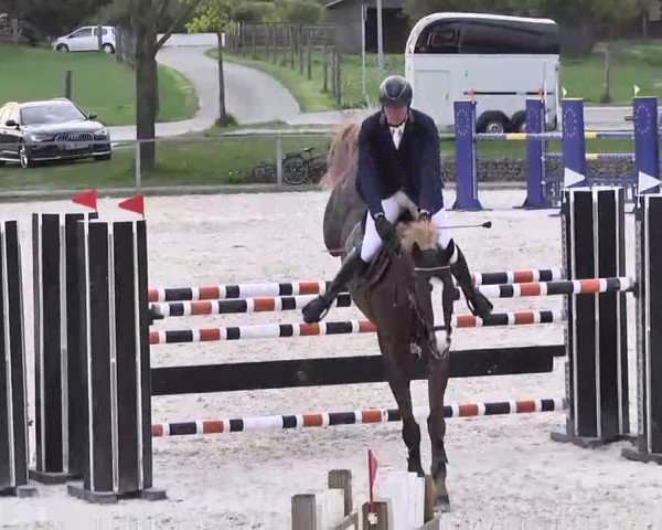 Frühjahrs-Reitturnier Ingolstadt-Hagau 2016