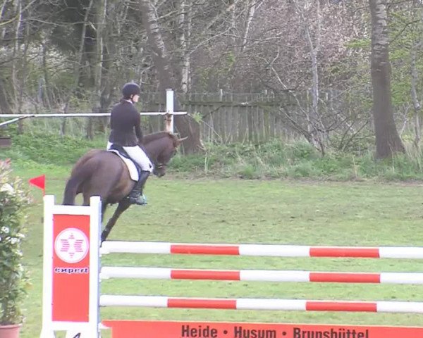 Reitturnier Heide-Hochfeld 2016