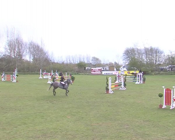 Reitturnier Heide-Hochfeld 2016