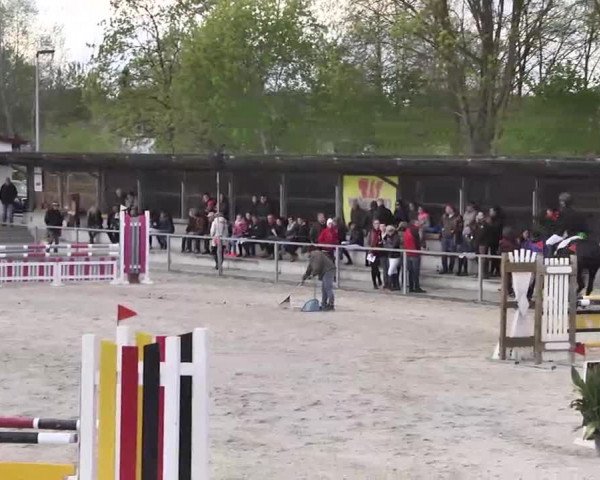 Frühjahrs-Reitturnier Ingolstadt-Hagau 2016