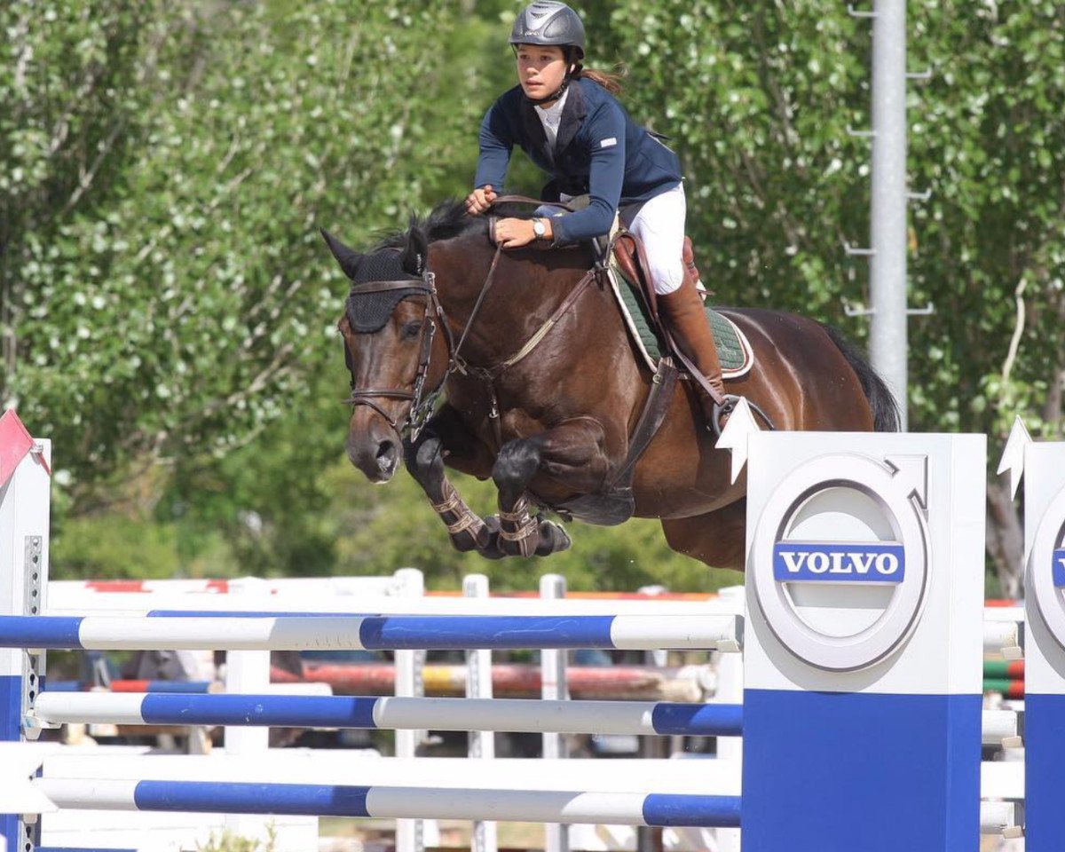 broodmare Hera van het Hof van Eversem (Belgian Warmblood, 2007, from Casario II)
