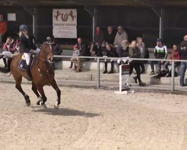 Frühjahrs-Reitturnier Ingolstadt-Hagau 2016