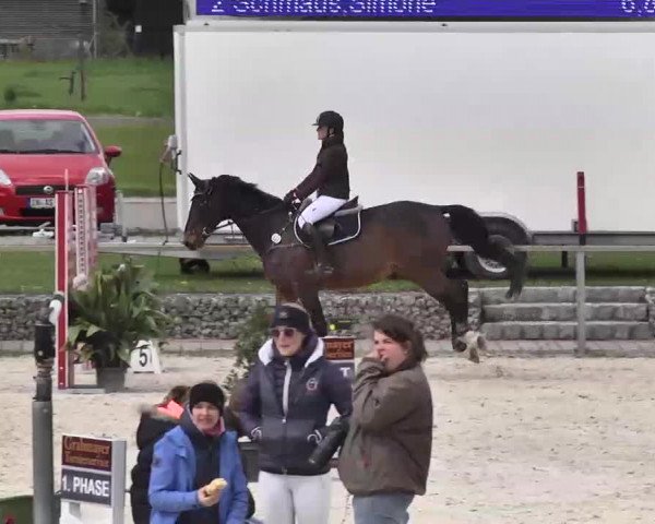 Frühjahrs-Reitturnier Ingolstadt-Hagau 2016
