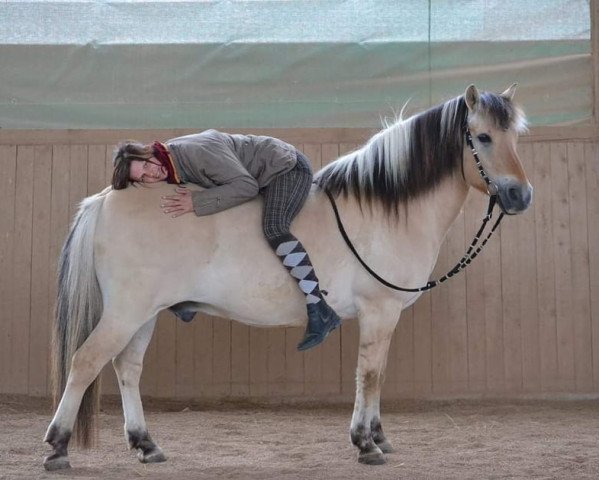 horse Ole (Fjord Horse, 1994, from Oleg)