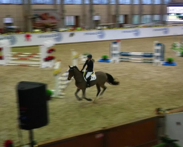 Christmas Jumping Trophy Prussendorf 2021