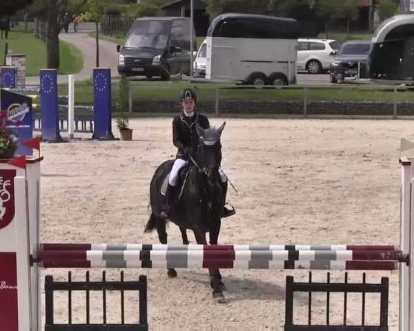 Frühjahrs-Reitturnier Ingolstadt-Hagau 2016