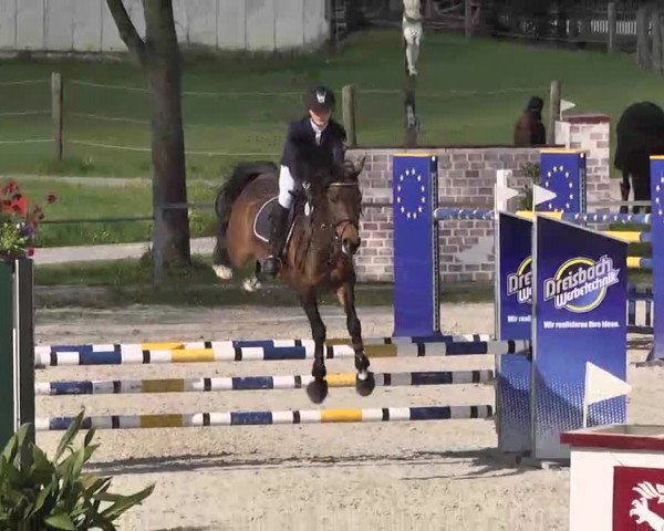 Frühjahrs-Reitturnier Ingolstadt-Hagau 2016