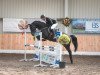 jumper Clueso 26 (Oldenburg show jumper, 2013, from Casario II)