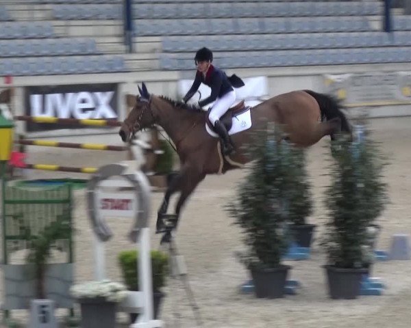 FEI Reitturnier Aachen (GER) 2016