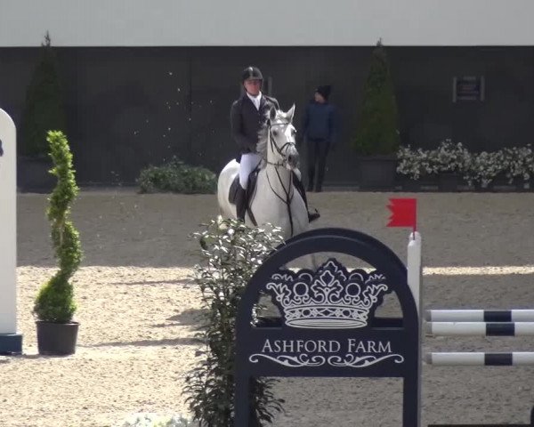 FEI Reitturnier Aachen (GER) 2016